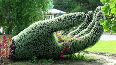 Hands Garden gardening