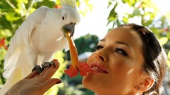 Hands Parrots sunlight Nikita