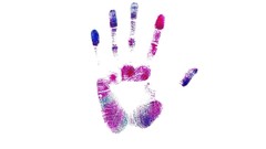 Hands white background palm