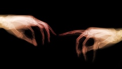Hands X-ray Bones