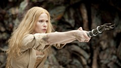 Hansel and Gretel: Witch Hunters