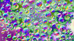 Happiness bubbles happy wine