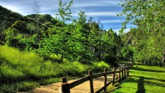 Happiness paths low resolution