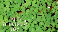 Happy Patrick Clovers St Patrick