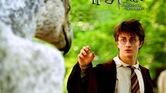 Harry Potter and the Prisoner of Azkaban Daniel Radcliffe harry 