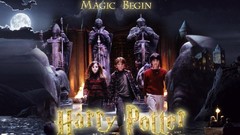 Harry Potter and the Sorcerer's Stone Daniel Radcliffe rupert 