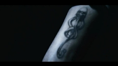 Harry potter Death Eaters