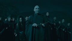 Harry potter harry potter