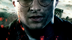 Harry potter harry potter