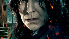 Harry potter harry potter