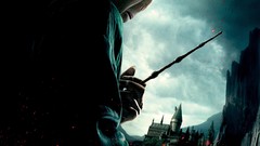 Harry potter harry potter and the deathly hallows Voldemort