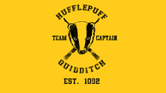 Harry potter Hufflepuff Quidditch