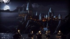 Harry potter Owls Hogwarts