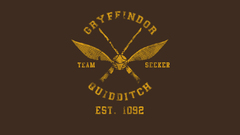 Harry potter Quidditch Gryffindor