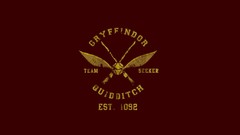 Harry potter Quidditch Snitch