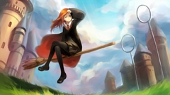 Harry potter Quidditch soft