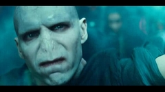 Harry Potter Voldemort Celebrity