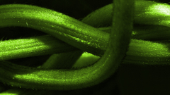 Have forgotten how many