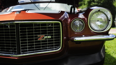 Have like domestic cars