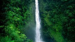 Hawaii akaka falls big