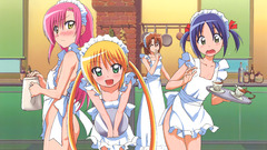 Hayate no gotoku katsura