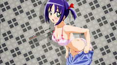 Hayate no gotoku nishizawa