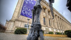 HDR Photography fossil