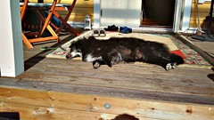 HDR Photography huawei ideos