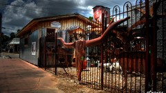 HDR Photography Longhorn bstrange bobby strange