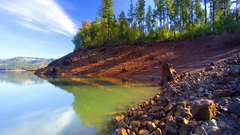 HDR Photography nature Trees
