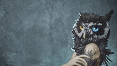 Head heterochromia Owls scp scp-1155