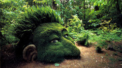 Head high org Resolution