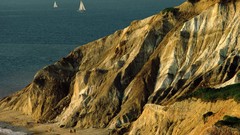 Head vineyard massachusetts