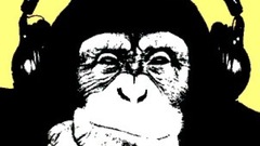 Headphones monkey find can high ) With res