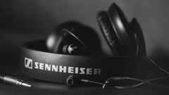 Headphones monochrome sennheiser