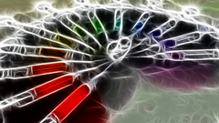 Heart here not but are shots