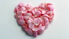 Hearts flower petals