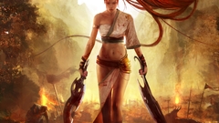 Heavenly sword nariko