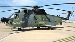 Helicopters Agusta HH-3F