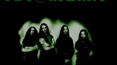 Hell high negative type yeah sebastian