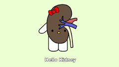 Hello Kitty kidney