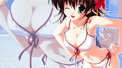 Hentai brunettes bikini ef