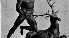 Hercules and The cerynitian