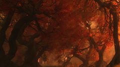 Here guys! nice walls aren canopycreekautumn