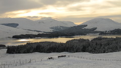 Here of The highlands