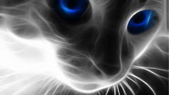 Here some samus lets get