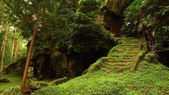 Hermitage evening Landscapes nature