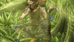 High acidic Resolution brokenbutterfly