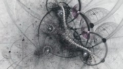 High apophysis Resolution 112 coolheart