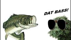 High bass dat Resolution